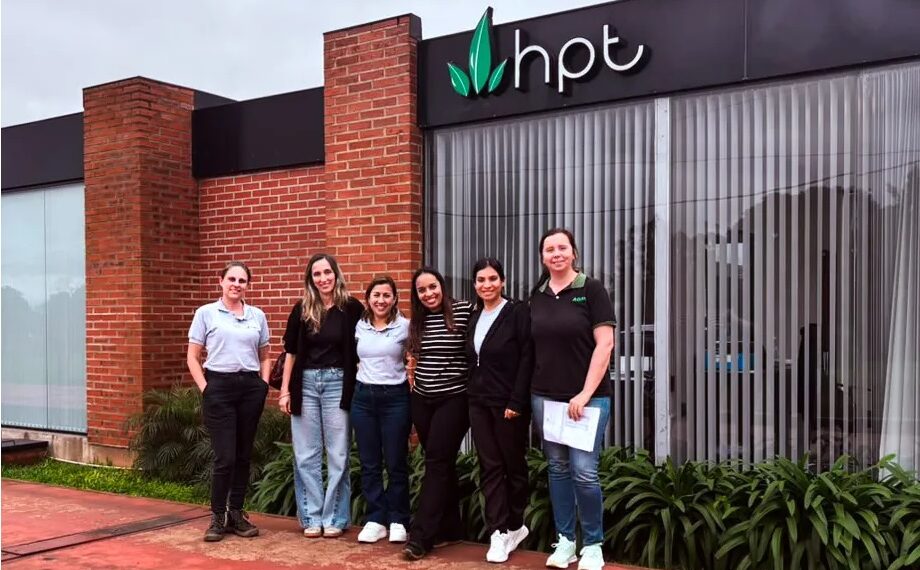 Cuatro empresas misioneras buscan obtener el sello que certifica el origen del Té Argentino