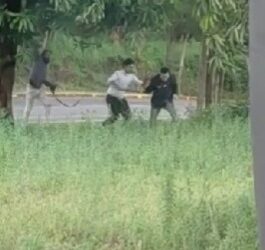 Lo filmaron atacando a transeúntes en Posadas y terminó detenido