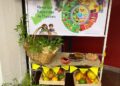 Misiones promueve entornos escolares saludables con capacitación docente