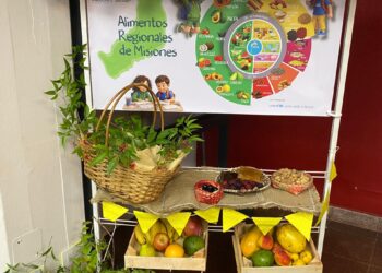 Misiones promueve entornos escolares saludables con capacitación docente