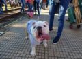 “Huellas con flow” llega a la Costanera con una nueva edición de primavera