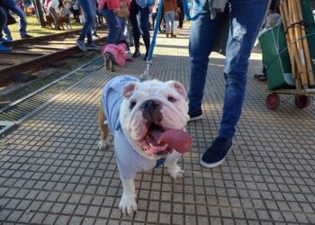 “Huellas con flow” llega a la Costanera con una nueva edición de primavera