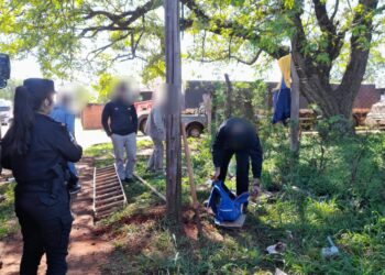Puerto Iguazú: detienen a robacables reincidente