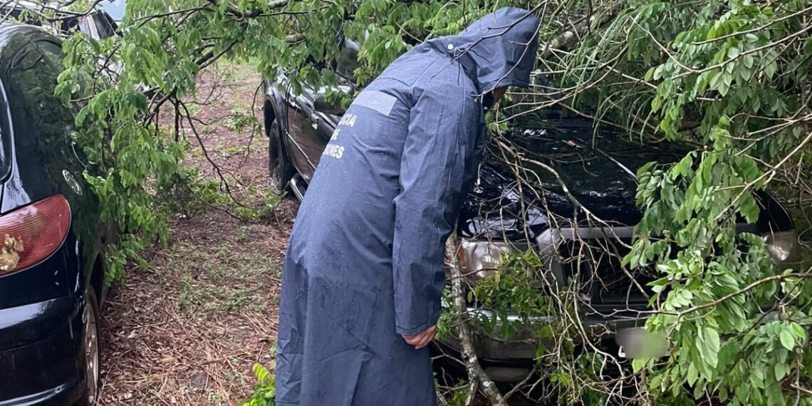 La Policía detectó voladuras de techos y caída de árboles y postes en distintos puntos de Misiones durante las tormentas