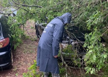 La Policía detectó voladuras de techos y caída de árboles y postes en distintos puntos de Misiones durante las tormentas